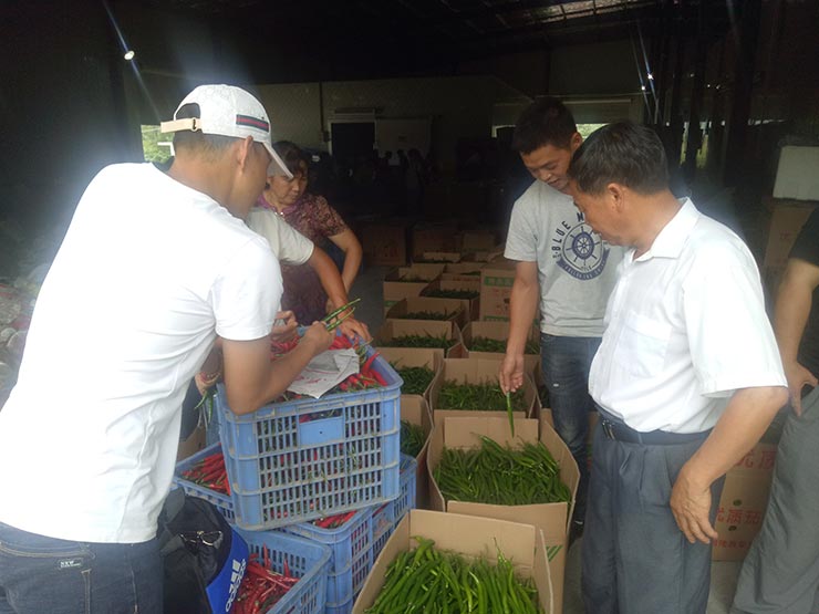 首页| J9集团国际站官方网站