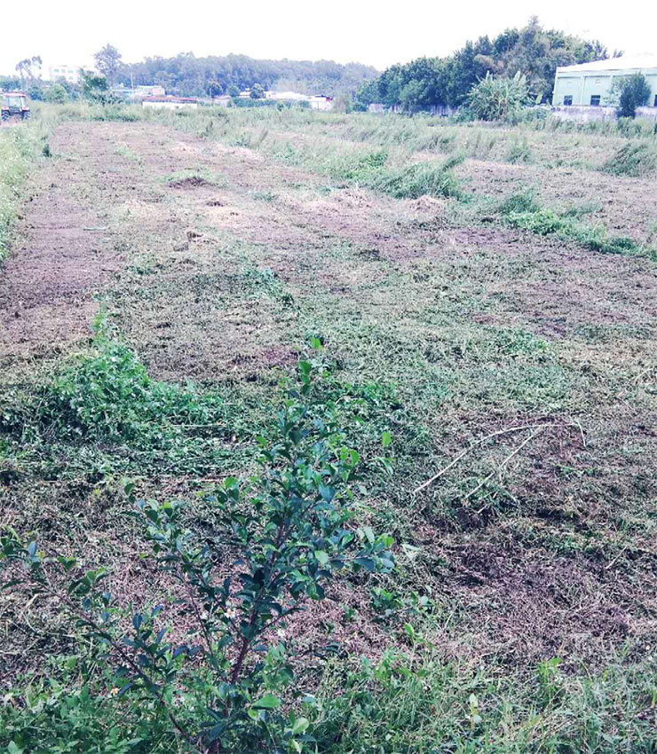 首页| J9集团国际站官方网站