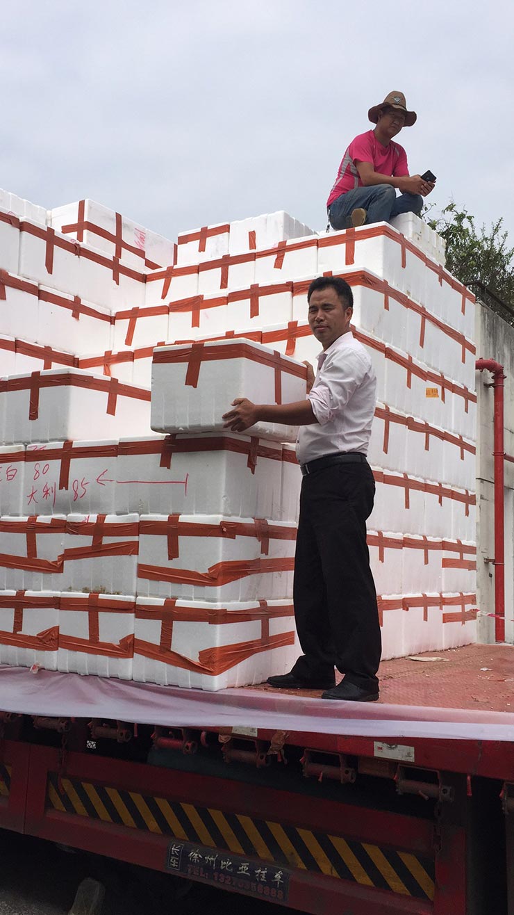 首页| J9集团国际站官方网站