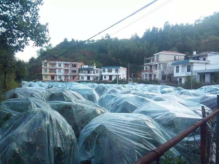 首页| J9集团国际站官方网站