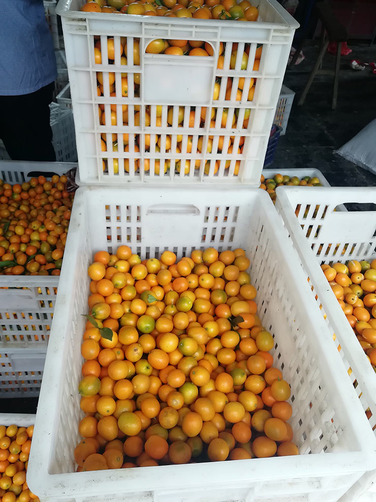 首页| J9集团国际站官方网站