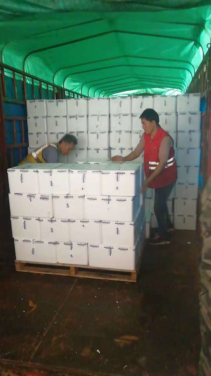 首页| J9集团国际站官方网站