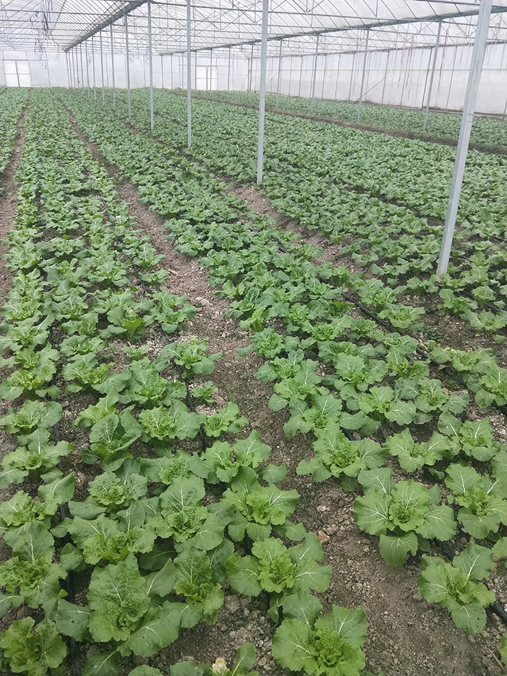 首页| J9集团国际站官方网站