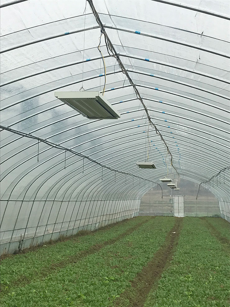 首页| J9集团国际站官方网站