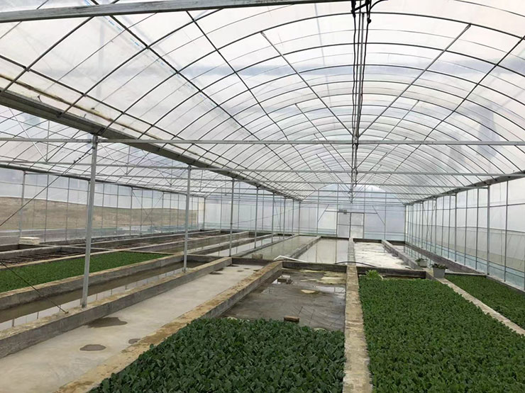 首页| J9集团国际站官方网站