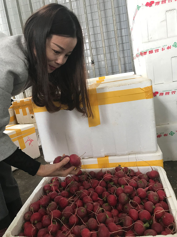 首页| J9集团国际站官方网站