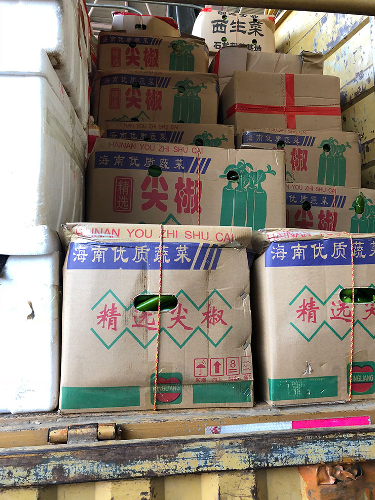 首页| J9集团国际站官方网站