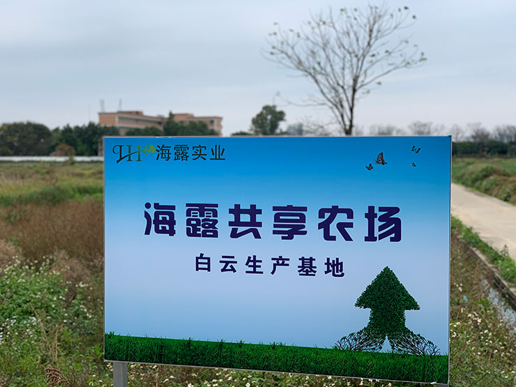 首页| J9集团国际站官方网站