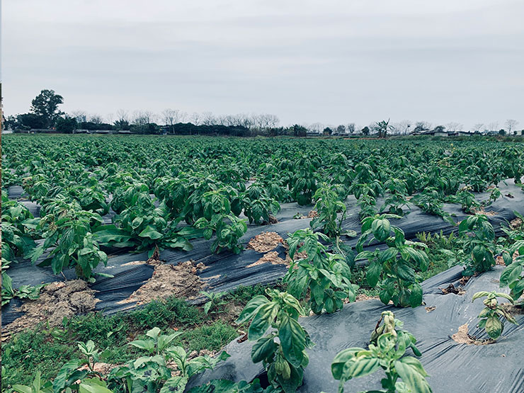 首页| J9集团国际站官方网站