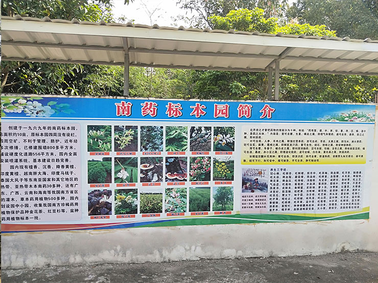 首页| J9集团国际站官方网站