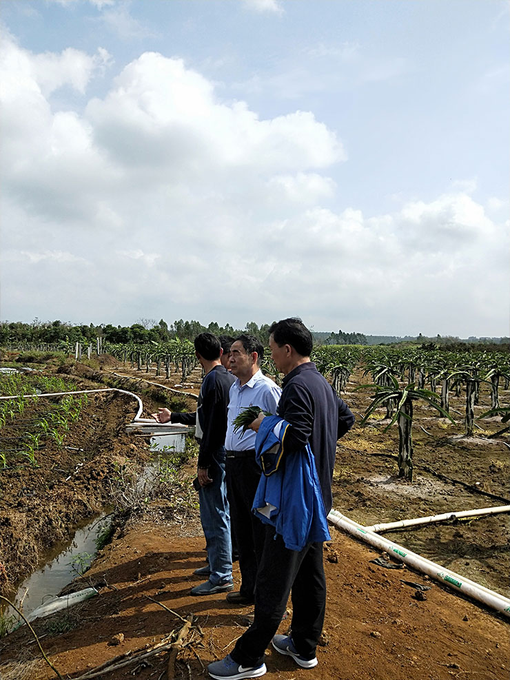 首页| J9集团国际站官方网站