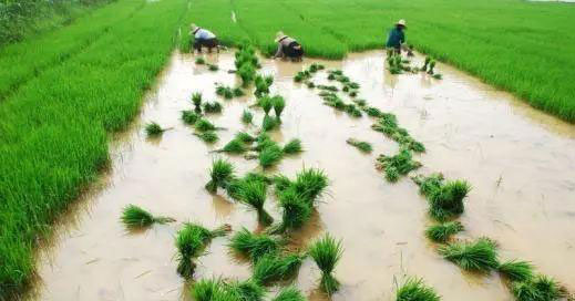 首页| J9集团国际站官方网站