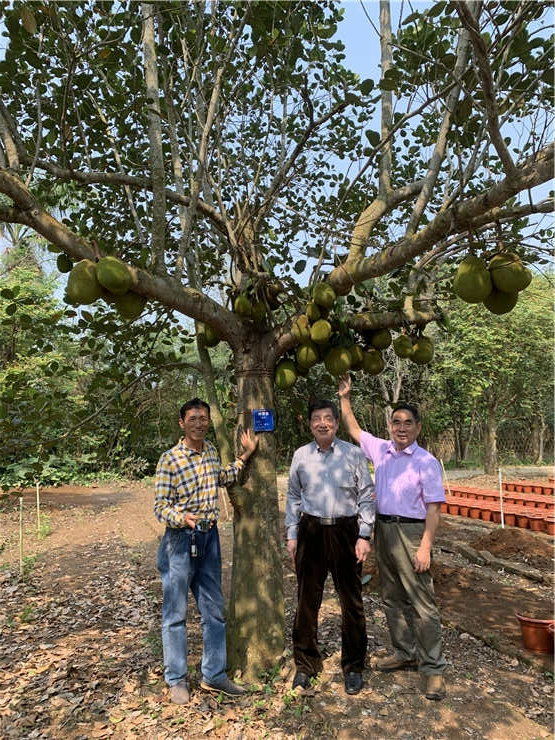 首页| J9集团国际站官方网站