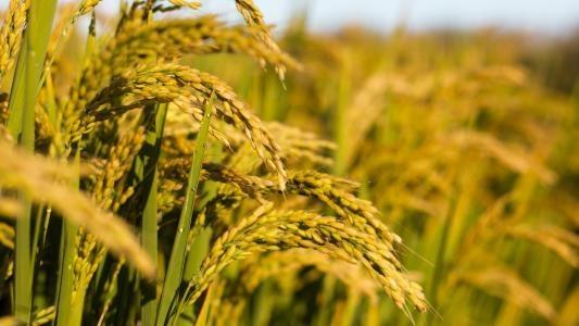 首页| J9集团国际站官方网站