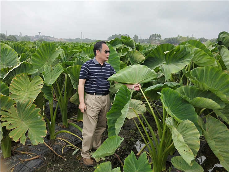 首页| J9集团国际站官方网站