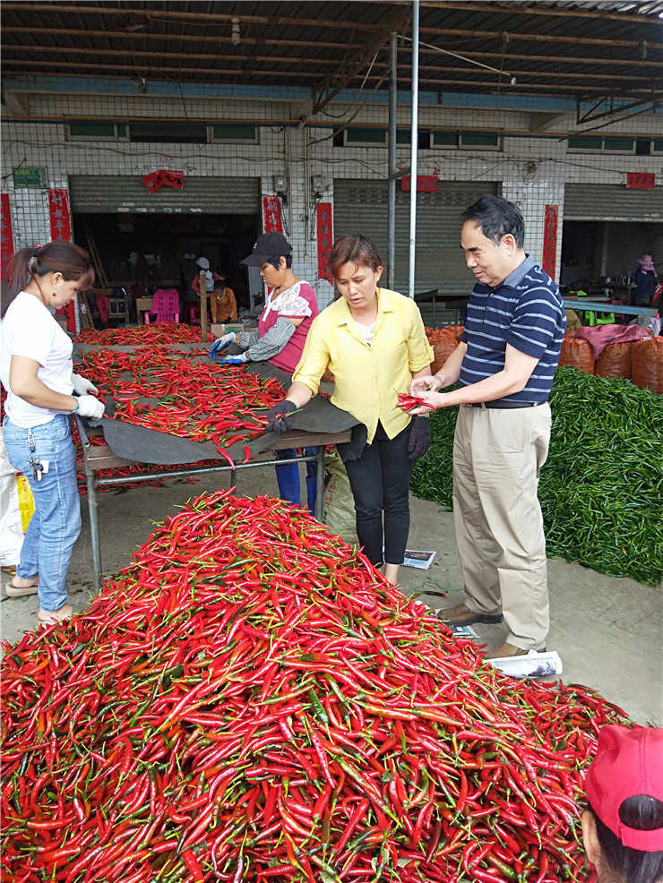 首页| J9集团国际站官方网站