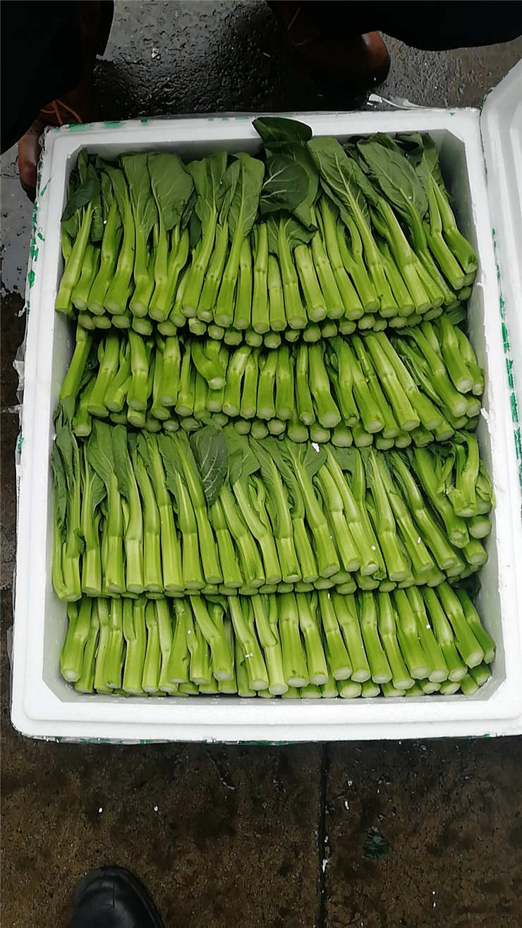 首页| J9集团国际站官方网站