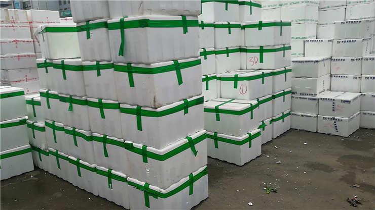 首页| J9集团国际站官方网站