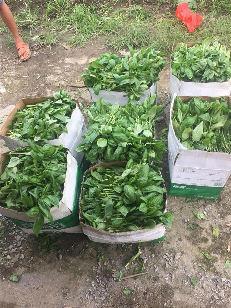 首页| J9集团国际站官方网站