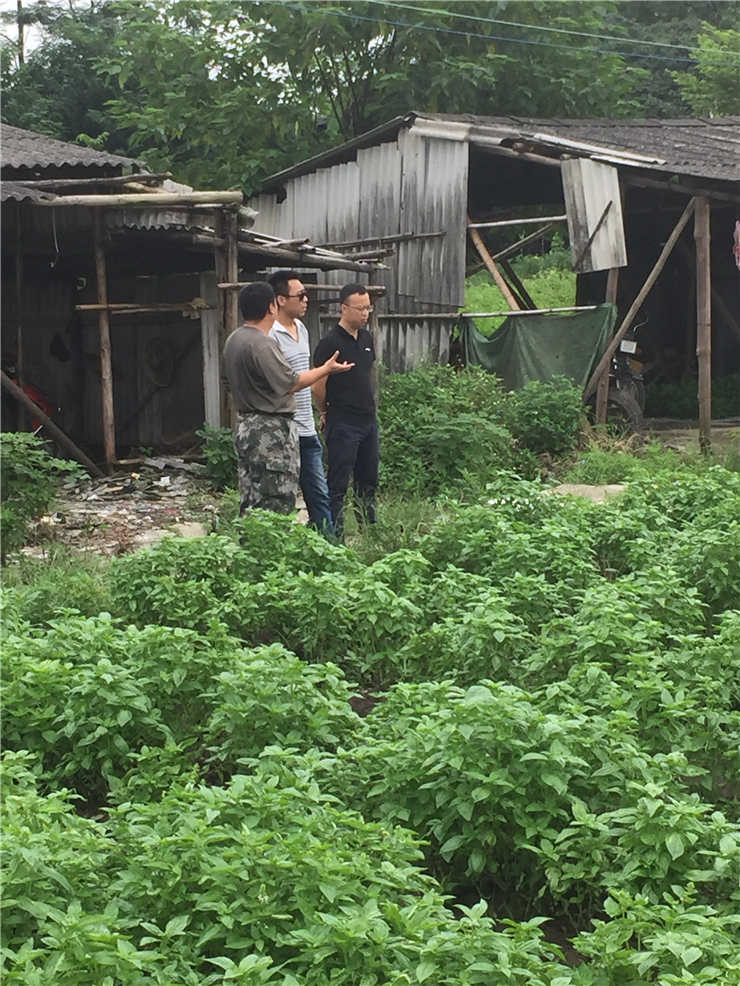 首页| J9集团国际站官方网站