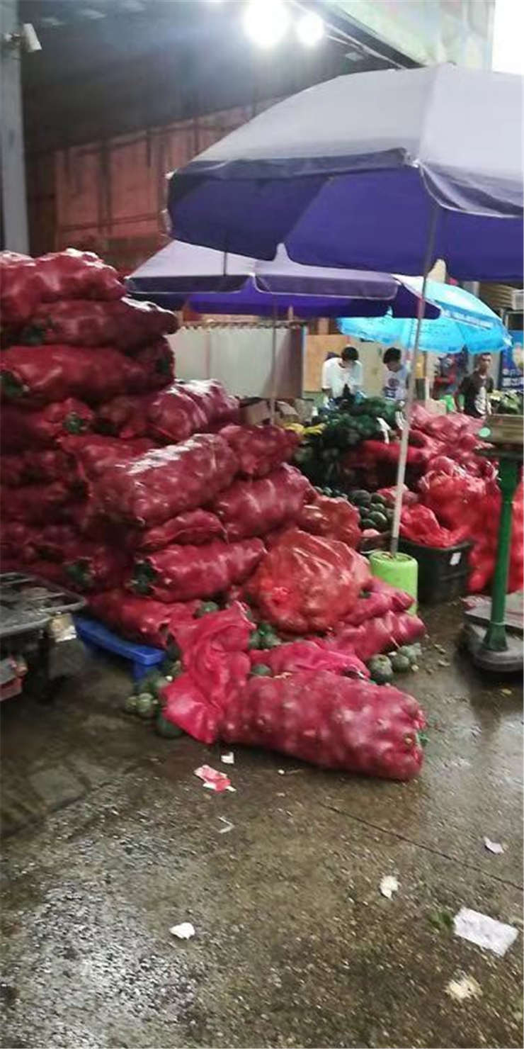 首页| J9集团国际站官方网站