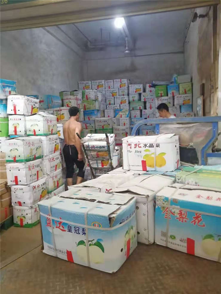 首页| J9集团国际站官方网站