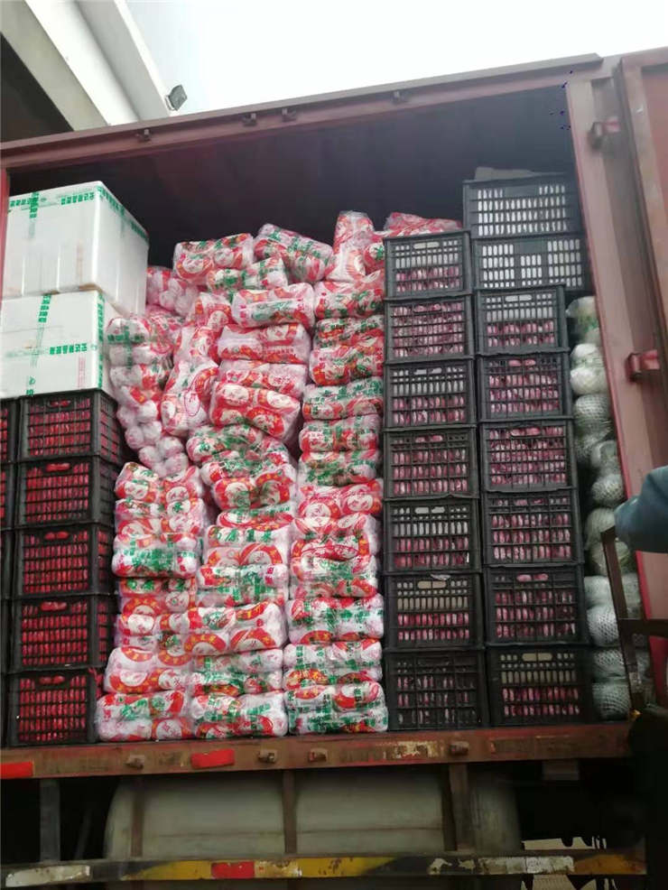 首页| J9集团国际站官方网站