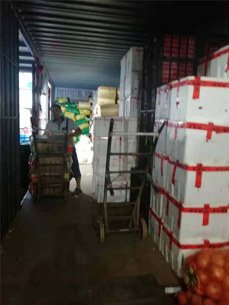 首页| J9集团国际站官方网站