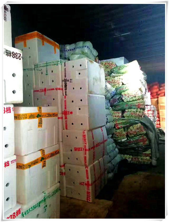 首页| J9集团国际站官方网站