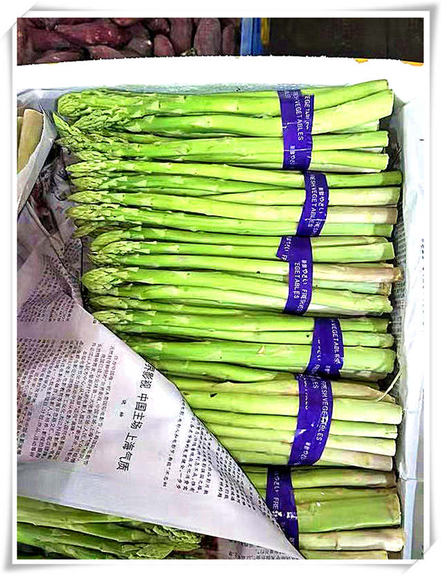 首页| J9集团国际站官方网站