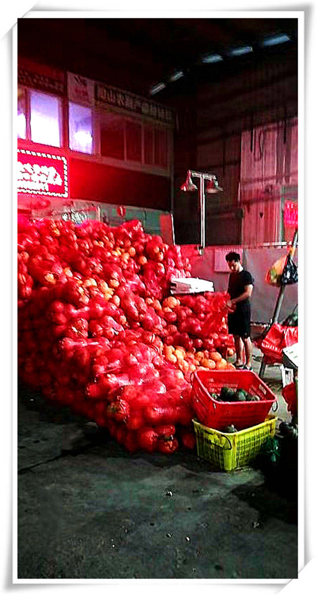 首页| J9集团国际站官方网站