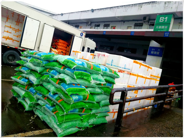 首页| J9集团国际站官方网站