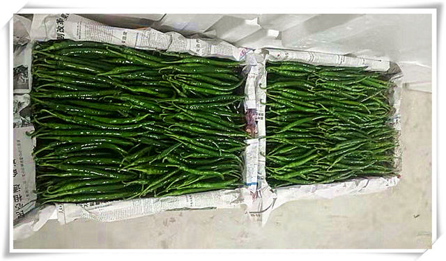 首页| J9集团国际站官方网站