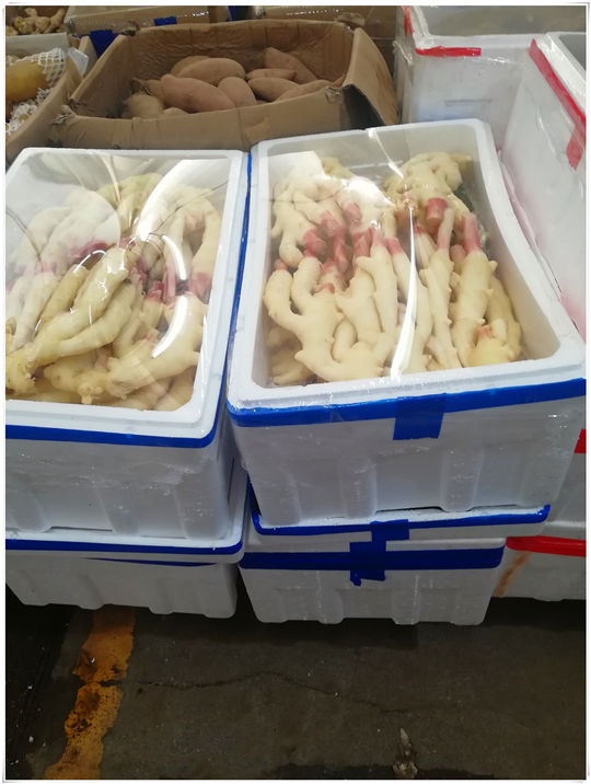 首页| J9集团国际站官方网站