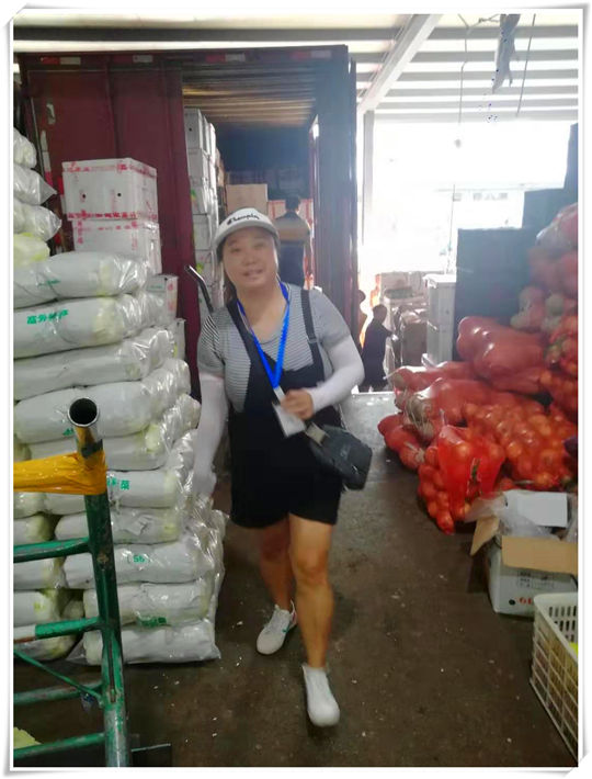 首页| J9集团国际站官方网站