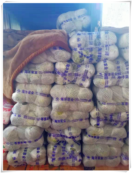 首页| J9集团国际站官方网站