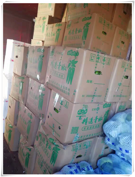 首页| J9集团国际站官方网站