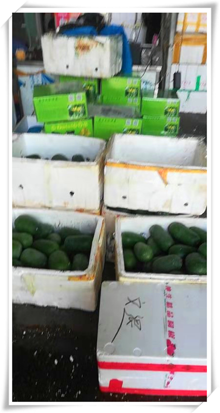 首页| J9集团国际站官方网站