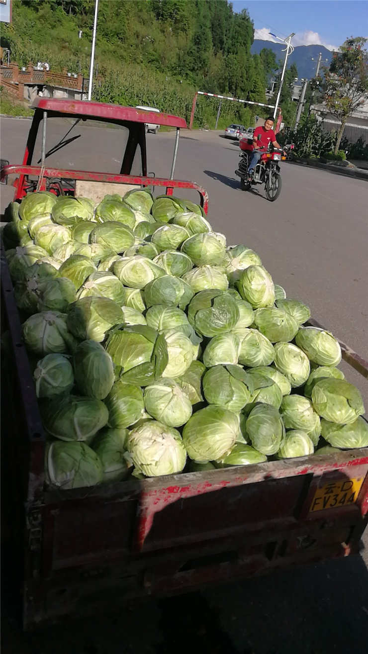 首页| J9集团国际站官方网站