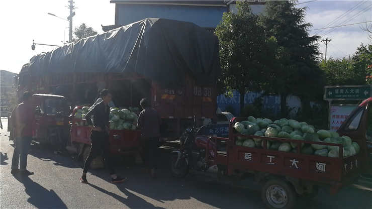 首页| J9集团国际站官方网站