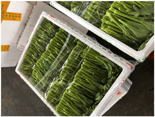 首页| J9集团国际站官方网站