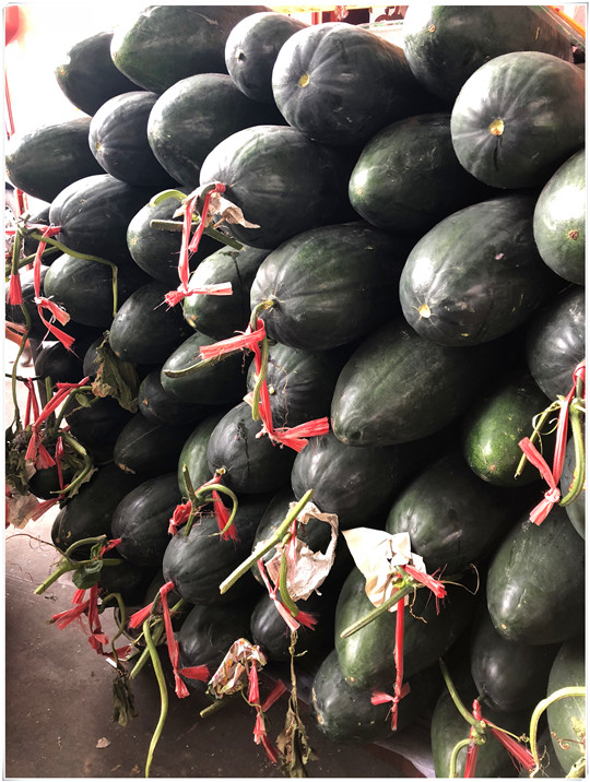 首页| J9集团国际站官方网站