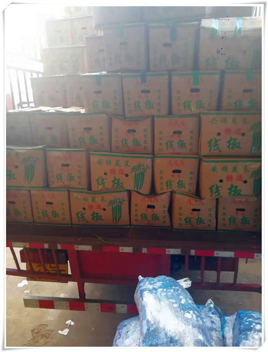 首页| J9集团国际站官方网站