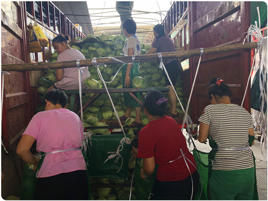 首页| J9集团国际站官方网站