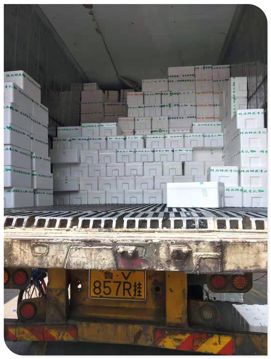 首页| J9集团国际站官方网站