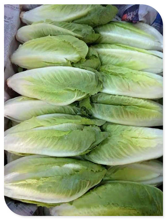 首页| J9集团国际站官方网站