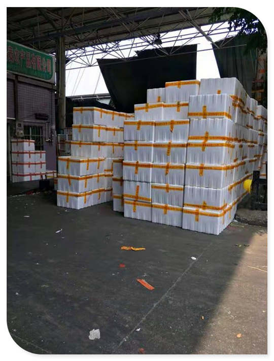 首页| J9集团国际站官方网站