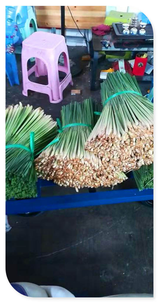 首页| J9集团国际站官方网站