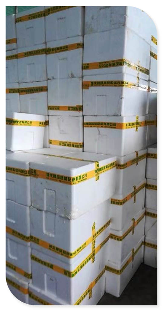 首页| J9集团国际站官方网站