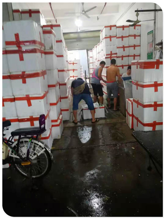 首页| J9集团国际站官方网站